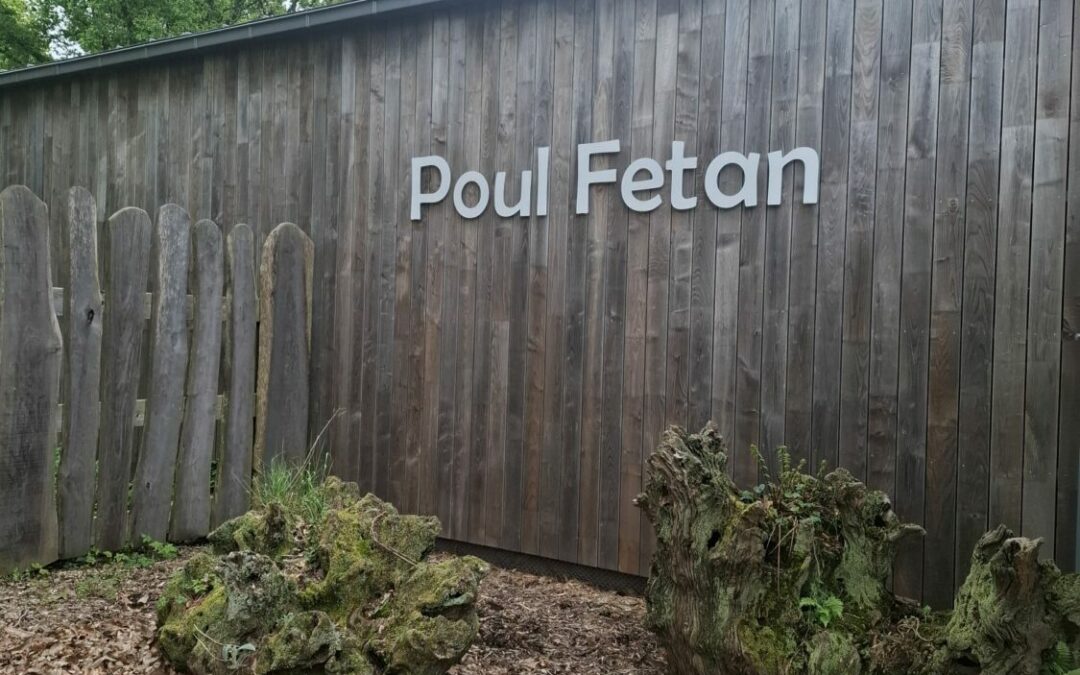 Sortie scolaire à Poul Fetan !