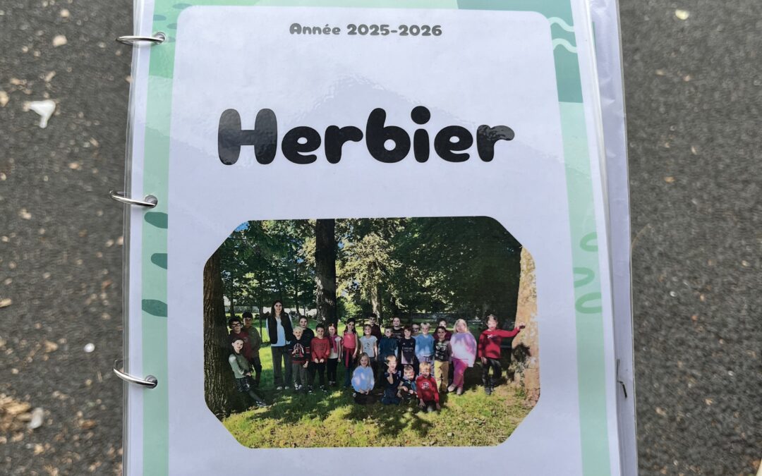 Fabrication de notre herbier