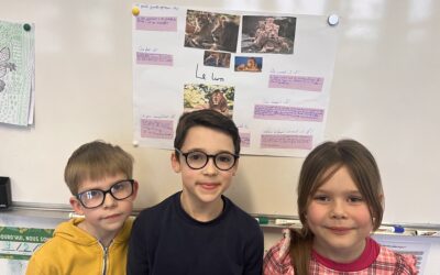 Exposés sur les animaux 🐾