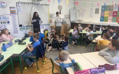 Animation nature sur les oiseaux 🐦