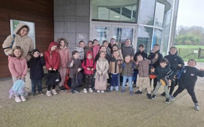 Comme des poissons dans l’eau ! 🐠