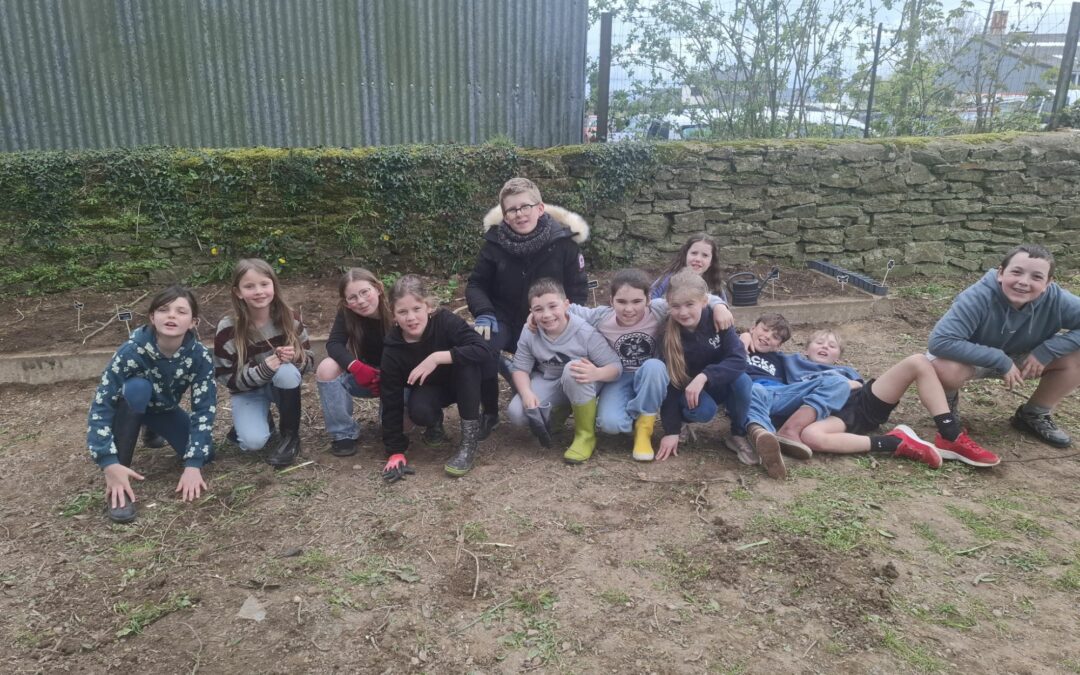 Les CM envahissent le potager ! 🌱